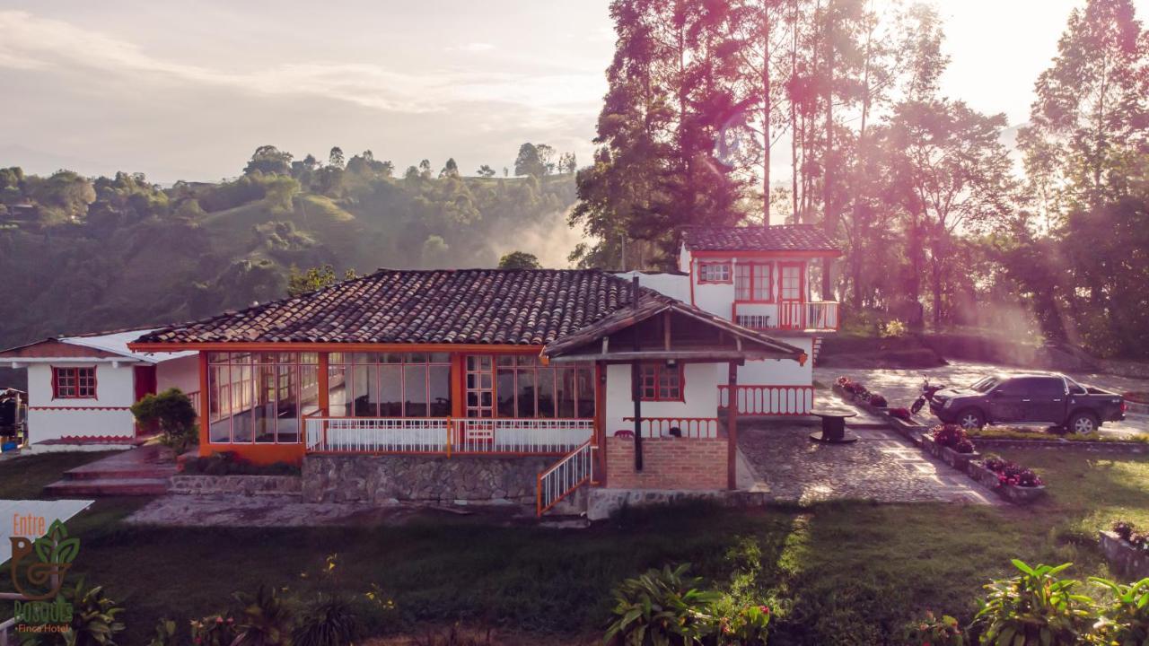 Ecohotel Entrebosques Salento Eksteriør billede