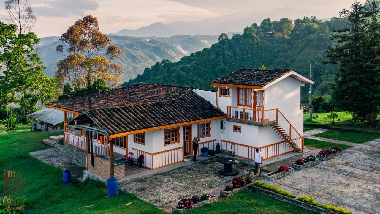 Ecohotel Entrebosques Salento Eksteriør billede